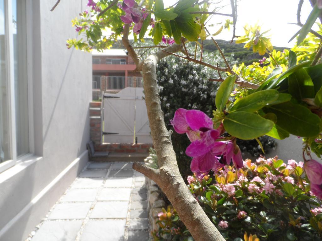 The Gift Apartment Agulhas Cameră foto