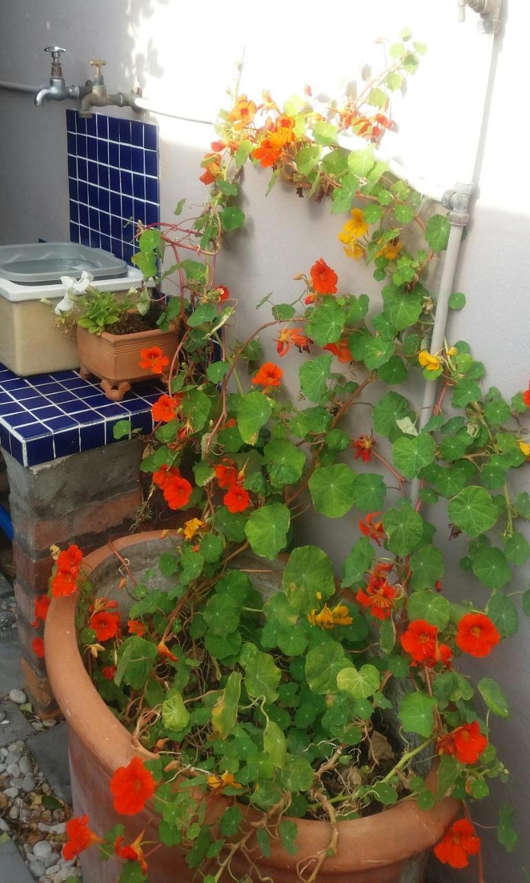 The Gift Apartment Agulhas Exterior foto