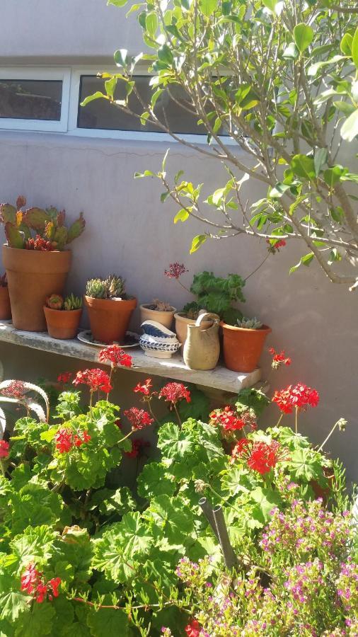The Gift Apartment Agulhas Exterior foto